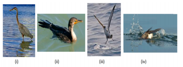 Story about a plane journey picture