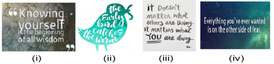 His first flight class 10 cbse question bank